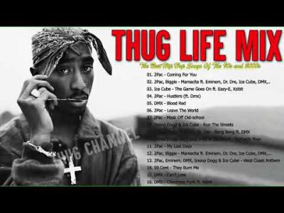 BEST THUG RAP MIX 2022 || 2Pac, Ice Cube , Snoop Dogg , Notorious B I G, DMX, Dre, 50 Cent and more