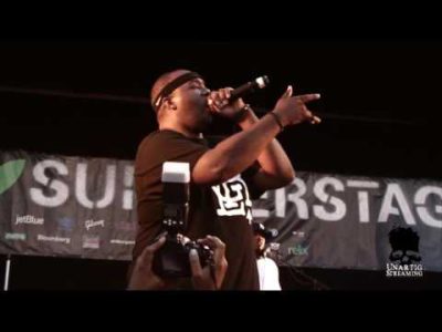 EPMD live in Queensbridge Park on July 15, 2010