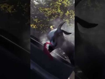 Goat singing Rap God by Eminem #shorts