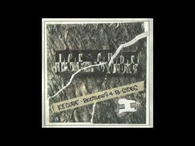 Ice Cube – 24 Wit An L