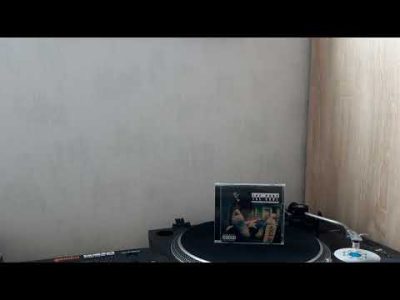 -ICE CUBE -A bird in the hand- (1991)