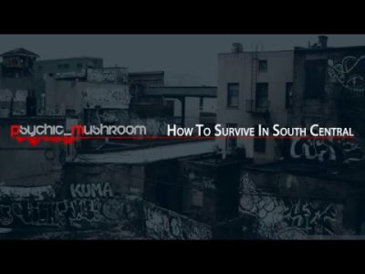 Ice Cube – How To Survive In South Central