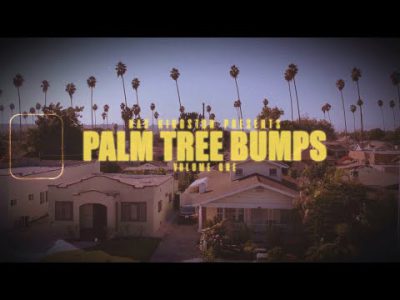 PALM TREE BUMPS VOl.01 (Dr. Dre, Dj Quik, Battlecat, Ice Cube and More )