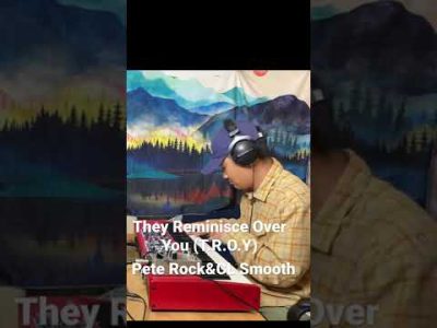 Pete Rock&CL Smooth They Reminisce Over You (T.R.O.Y.) #piano #90shiphop #jazz#peterock#hammond