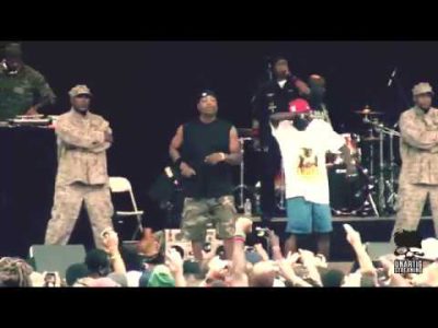 Public Enemy live at Central Park on August 15, 2010