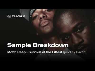 Sample Breakdown: Mobb Deep – Survival of the Fittest