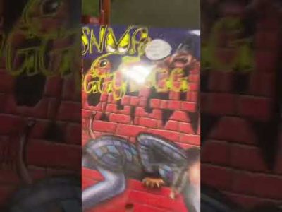 Snoop Dogg… Doggy Style Classic Album 💿🔥🎶