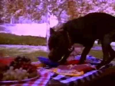 Snoop Dogg – Doggystyle