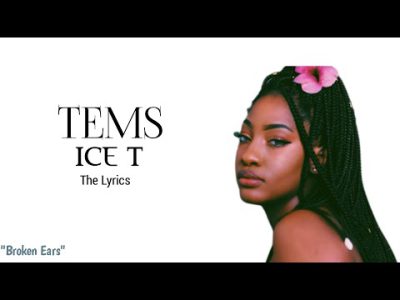 TEMS – ICE T (The Lyrics)